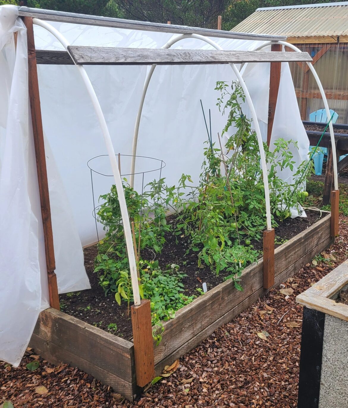 Frustrated trying to garden on the Oregon coastal? Master Gardener program Saturday may help • Lincoln Chronicle Frustrated trying to garden on the Oregon coastal? Master Gardener program Saturday may help • Lincoln Chronicle