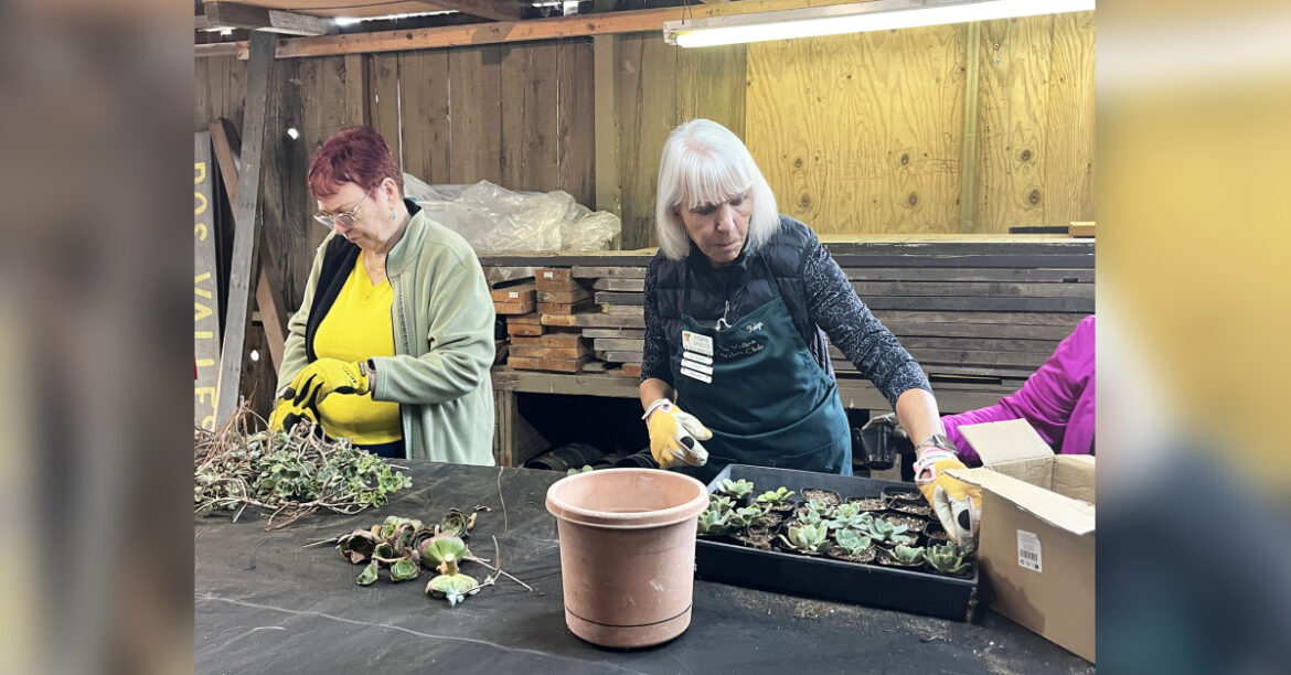 Garden club speaker to highlight work of Wings of Change Garden club speaker to highlight work of Wings of Change
