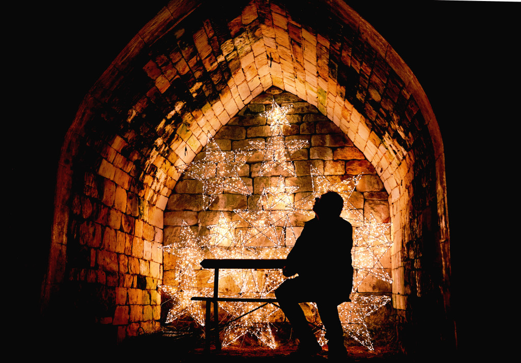 PIZZE 28 11 25 9 | Historic gardens shine with sparkling illuminations