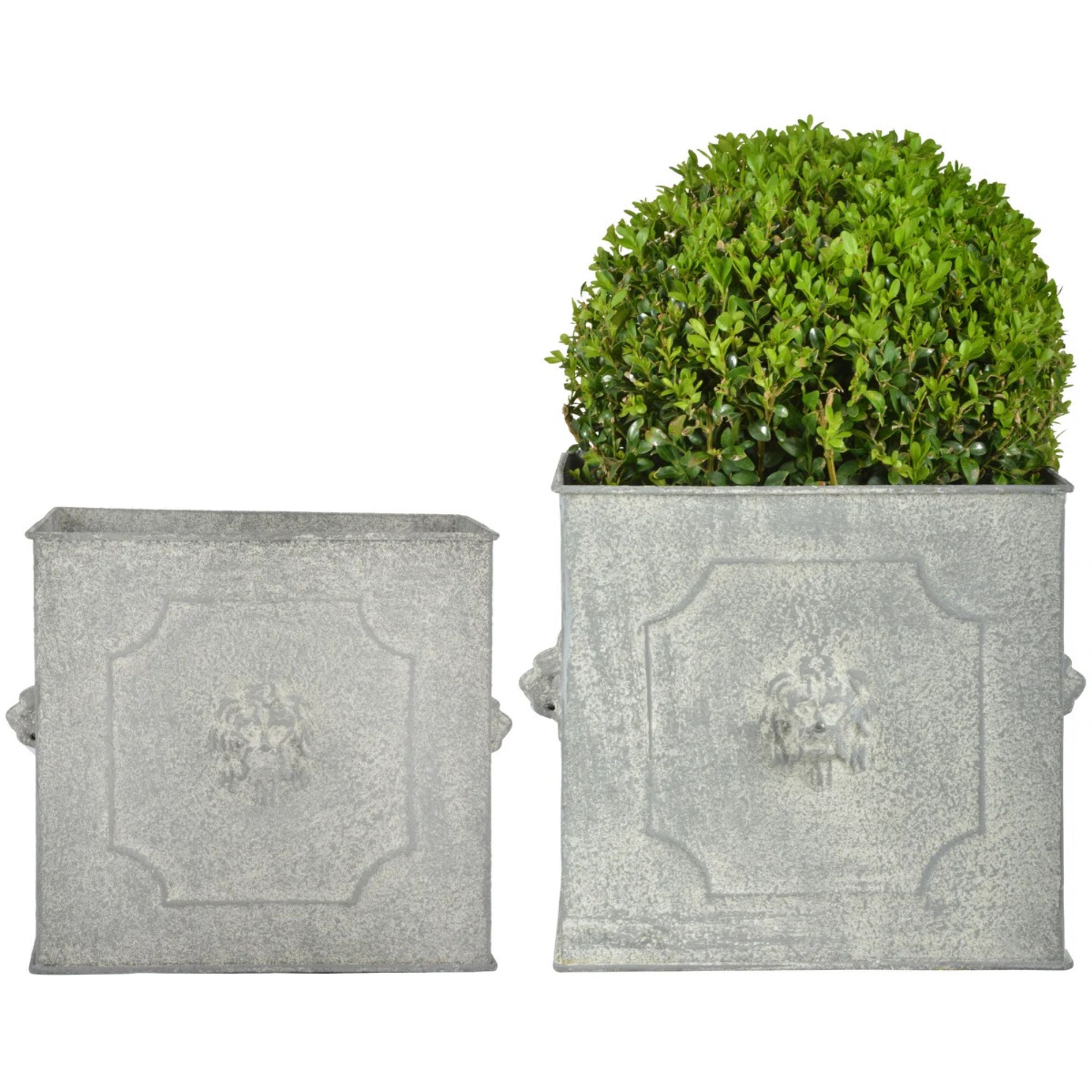 Crispen Metal Pot Planter By World Menagerie