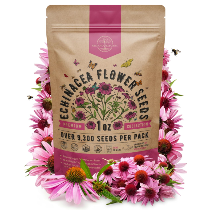 Amazon coneflower seeds