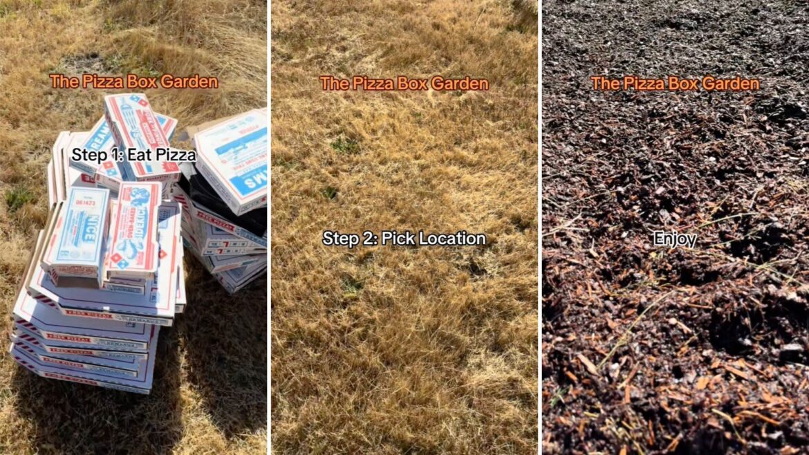 One viral TikTok is showing how to make a pizza box garden.