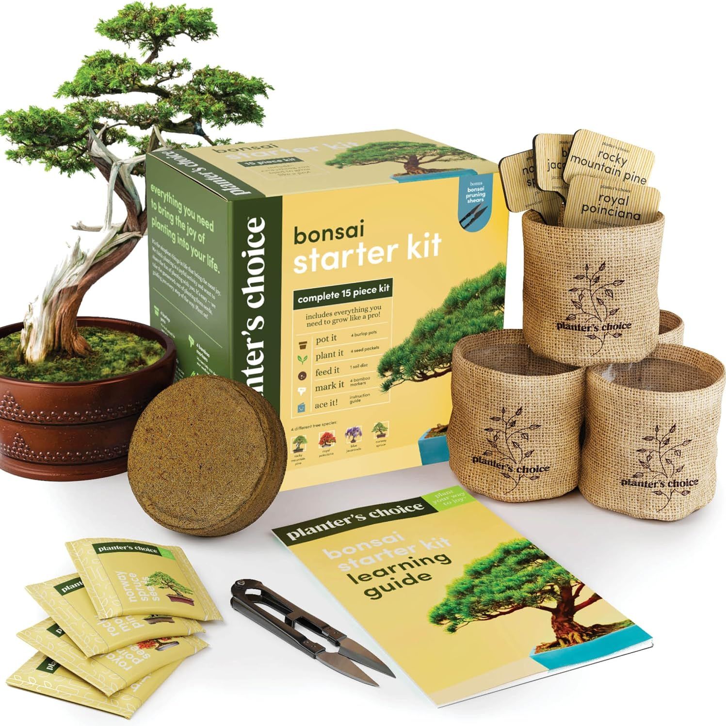 Bonsai Starter Kit - Gardening Easter Gift for Women &amp; Men - Bonsai Tree Growing Garden Crafts Hobby Kits for Adults, Unique Diy Hobbies for Plant Lovers - Unusual Christmas Gifts Ideas