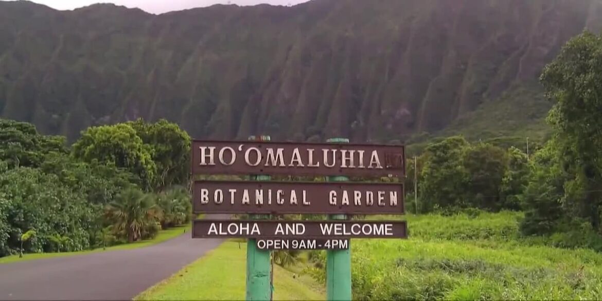 Windward Oahu botanical garden closed for improvements
