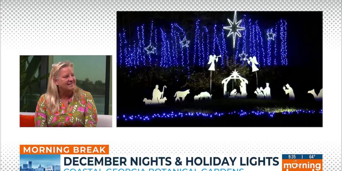 Botanical Gardens holiday lights display opens Nov. 28