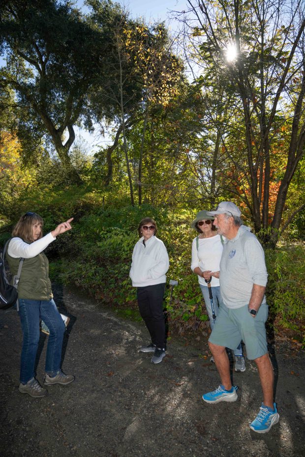 Volunteer tour guide Jill Gordon, left, points out the golden...