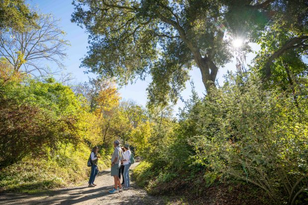 Visitors on a tour with volunteer guide Jill Gordon are...