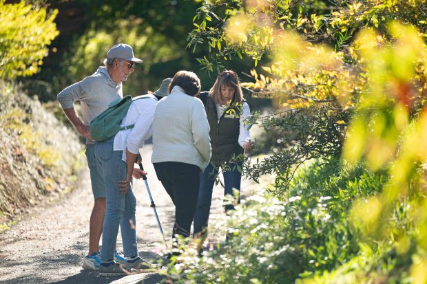 Visitors on a tour of the Sonoma Botanical Garden in...