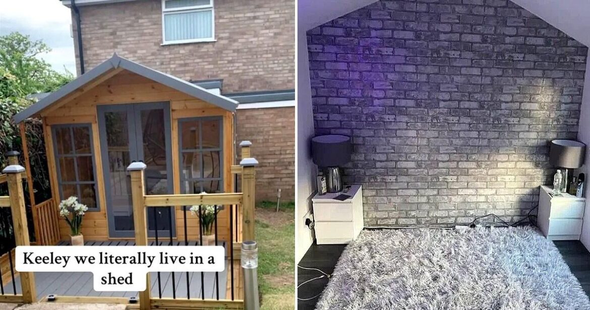 Couple turn garden shed into £2,000 home to help save for a house
