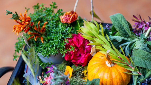Exploring a wide variety of sensory items from the garden heightens the ability to connect with gardening memories in Alzheimer's patients. (Chris Cho)