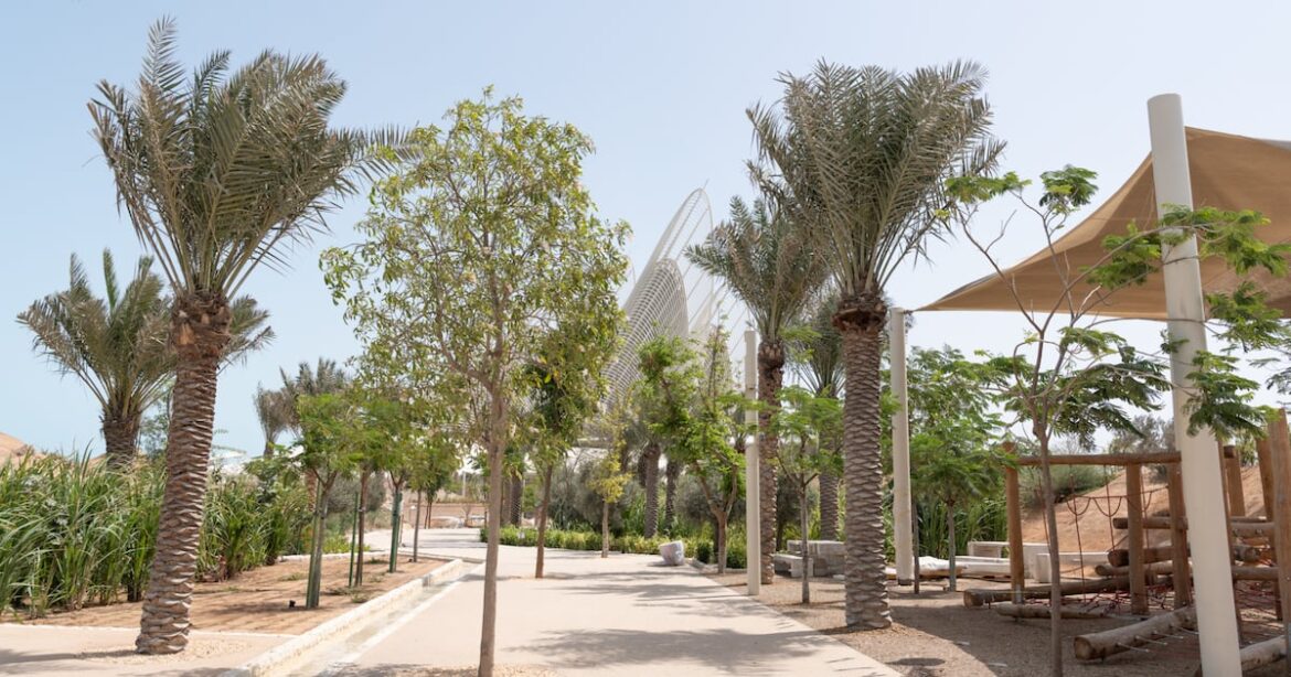 Zayed National Museum’s garden traces the UAE’s roots through the ghaf tree Zayed National Museum’s garden traces the UAE’s roots through the ghaf tree