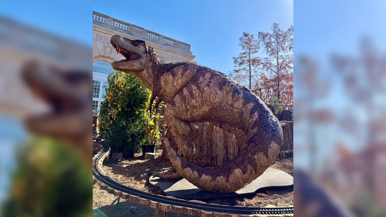 U.S. Botanic Garden Seasons Greetings: Dino-Mite!