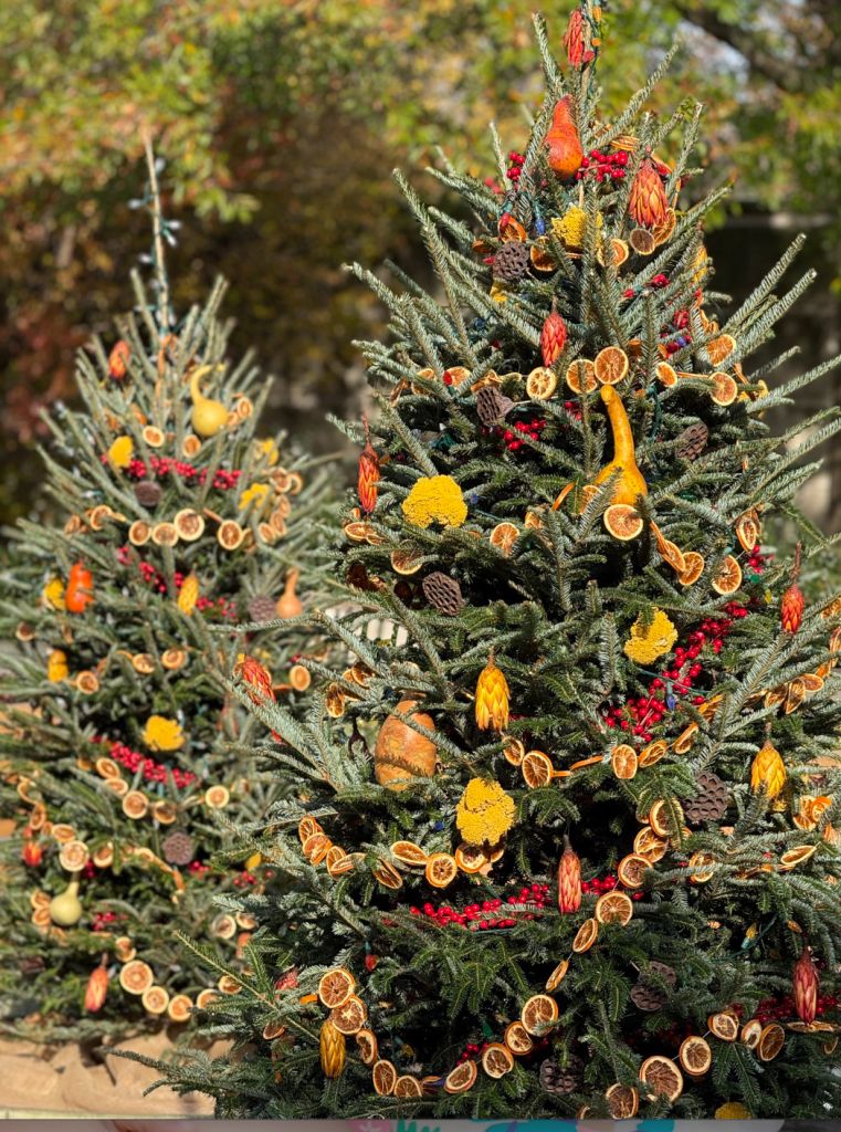 U.S. Botanic Garden Holiday Event 2025