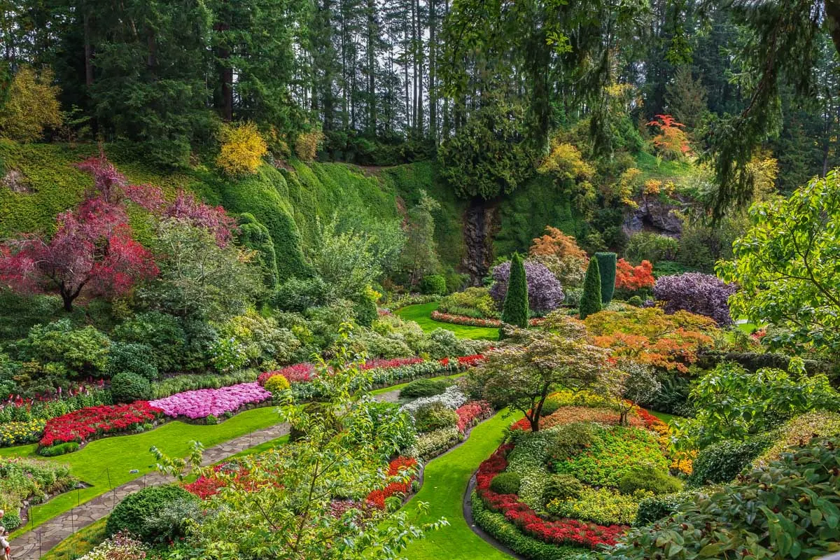 Stunning gardens and paths at The Butchart Gardens in Vancouver Island, BC