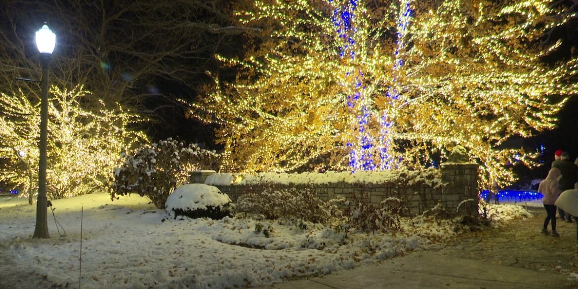 Wellfield Botanic Gardens opens 9th annual Winter Wonderland Holiday Lights display