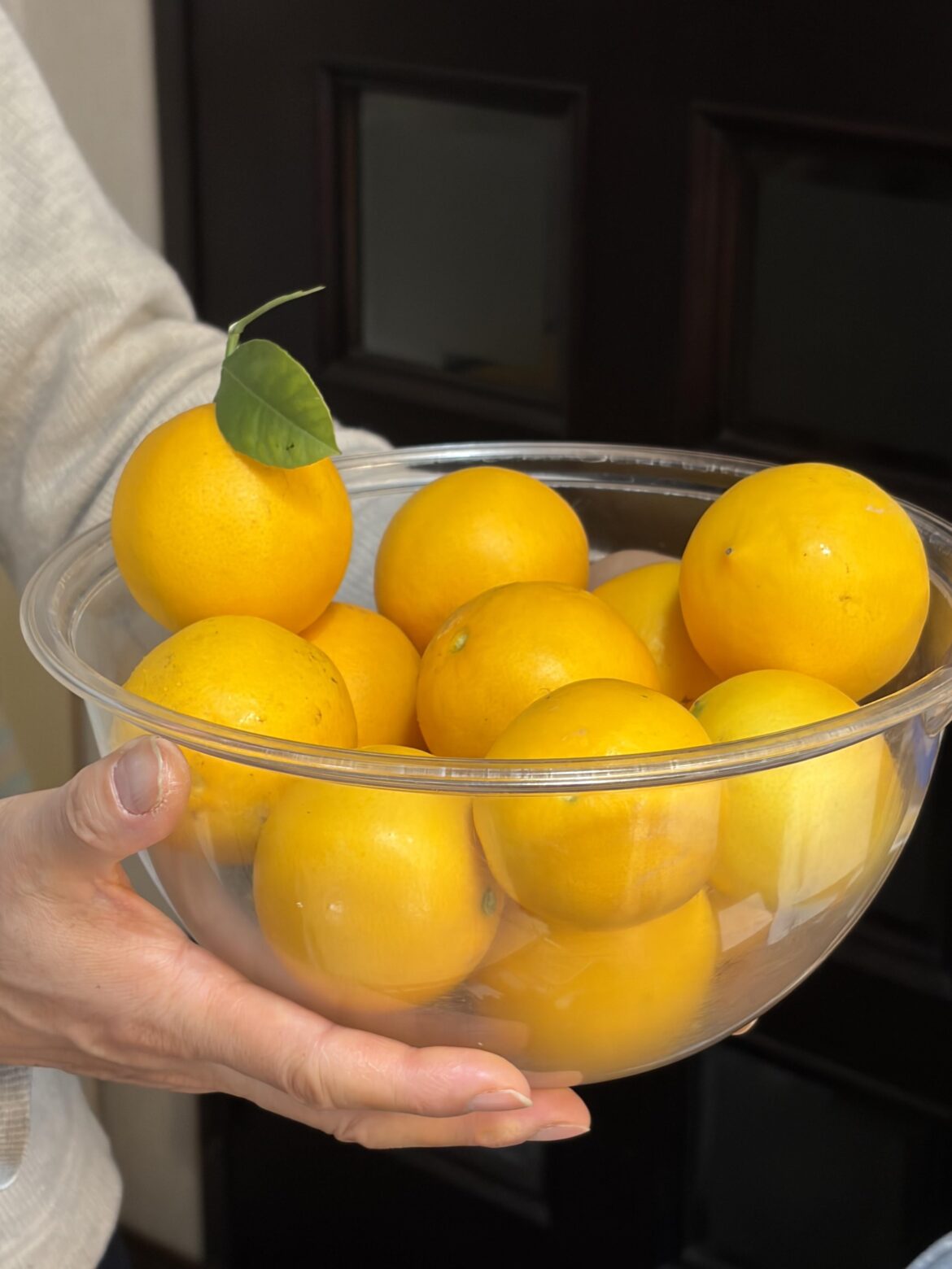 This year’s lemon crop!