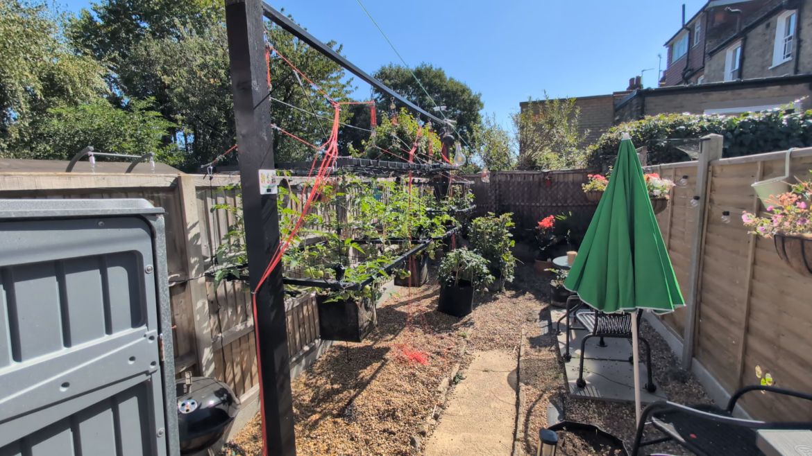 Update: I am totally blown away by the response to my Elevated Pepper Plant post. And for those checks 725 redditors asking to know more about my contraption, here is the story of what it is, and why I actually built it in the first place…. Update: I am totally blown away by the response to my Elevated Pepper Plant post. And for those *checks* 725 redditors asking to know more about my contraption, here is the story of what it is, and why I actually built it in the first place....