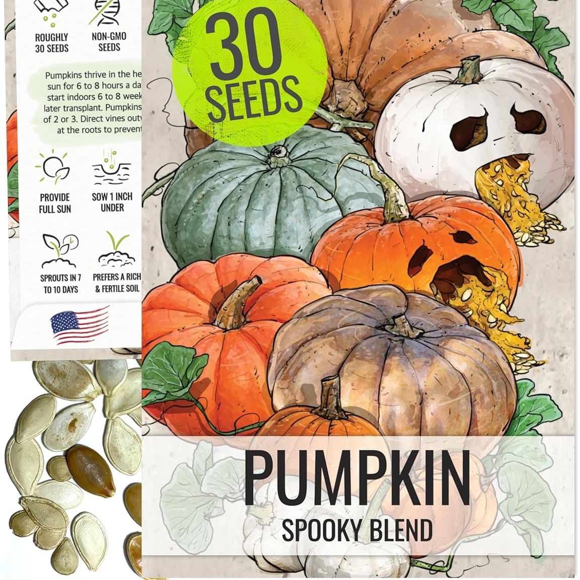 Seed Needs Pumpkin Seeds for Planting Spooky Blend - 30 Premium Heirloom Seeds (lumina White, Jack O Lantern, Baby Boo, Blue Jarrahdale, Cinderella &amp; More!) Non-Gmo &amp; Untreated (1 Small Pack)