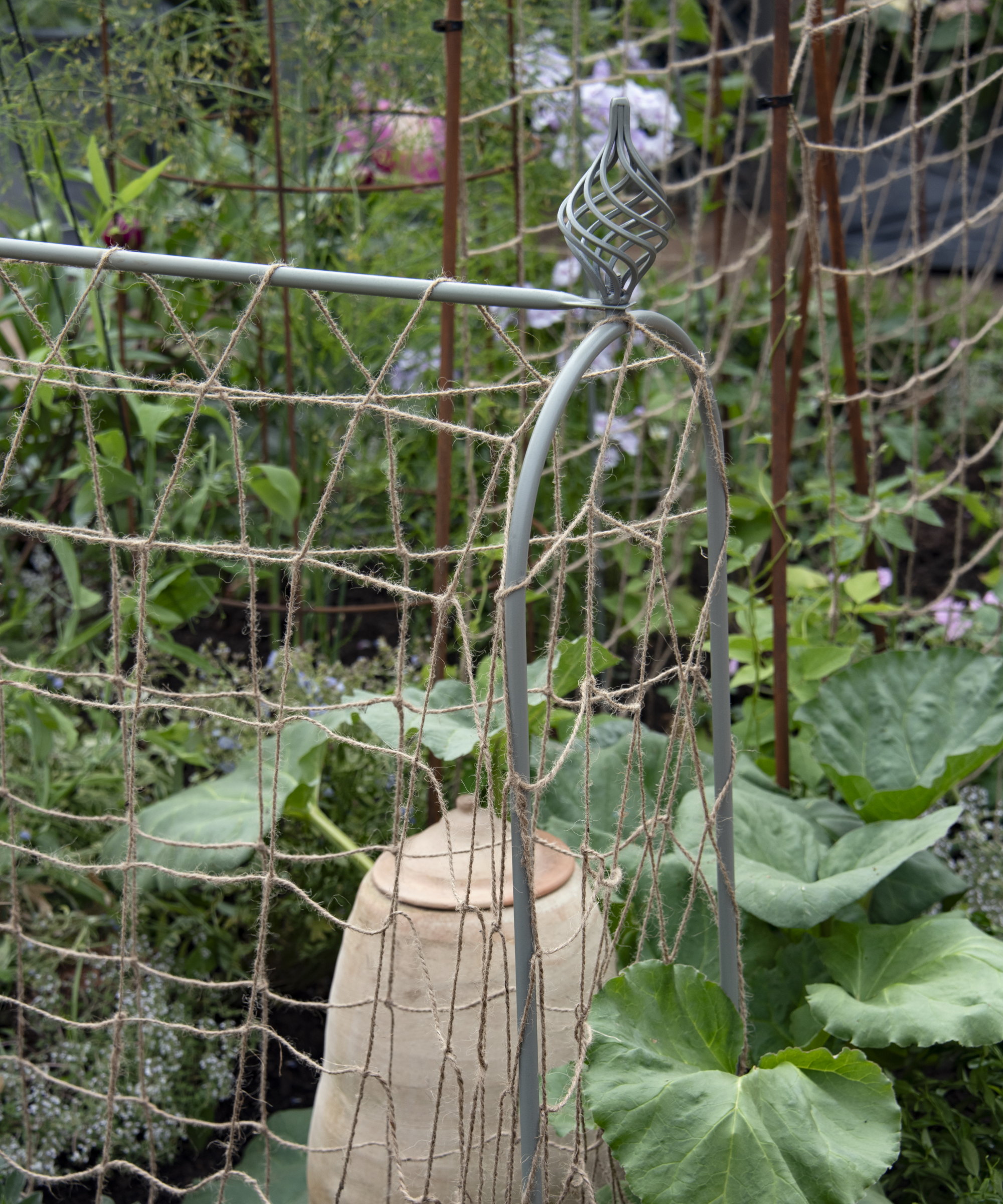 Metal garden hoops in a vegetable garden