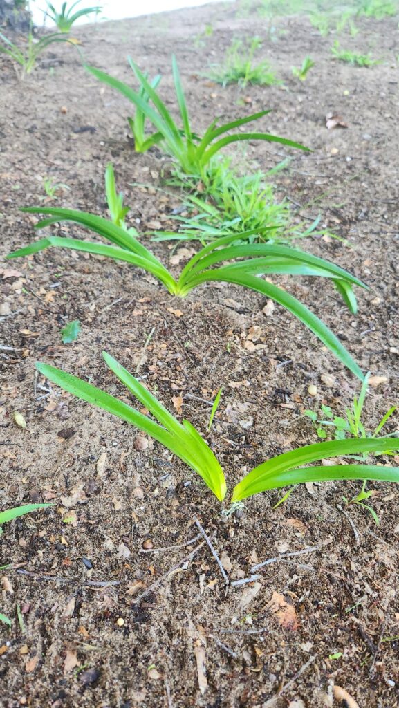 What do I have here?