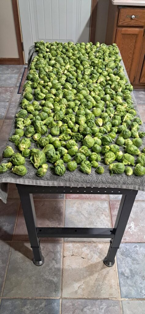 What's your favorite thing to grow? I'll go first...