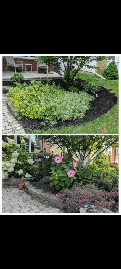 When I bought the house vs this summer