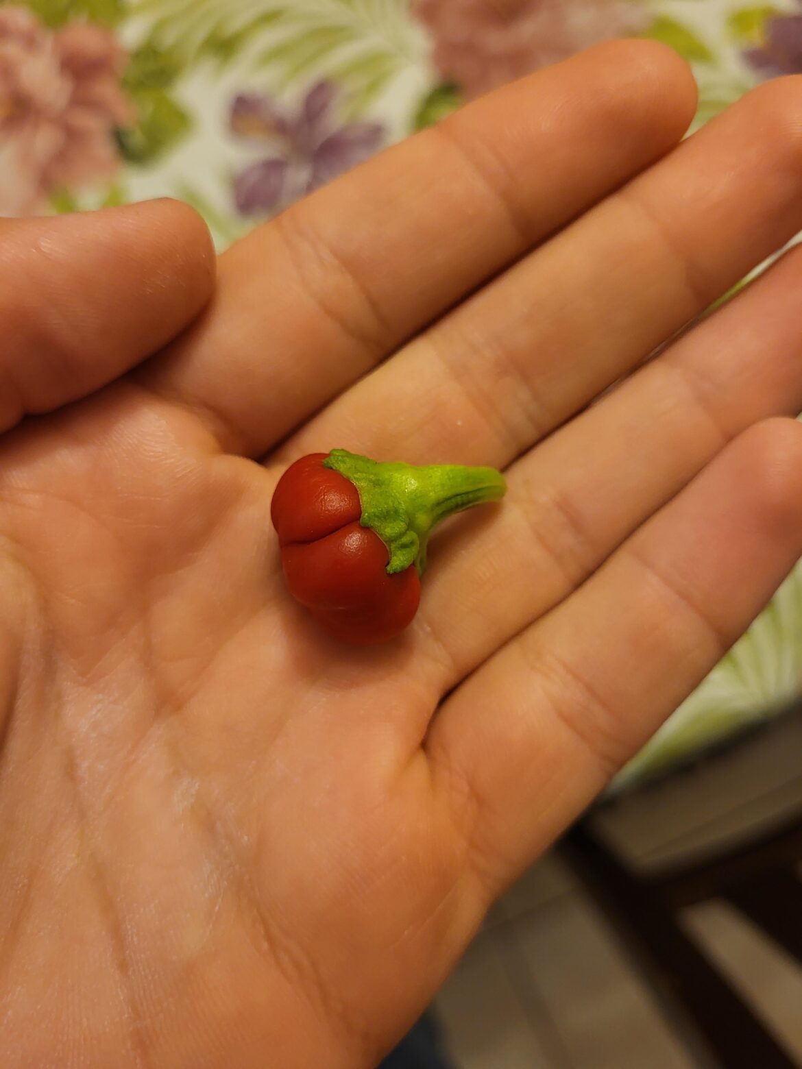 Why is my Bell Pepper so small?