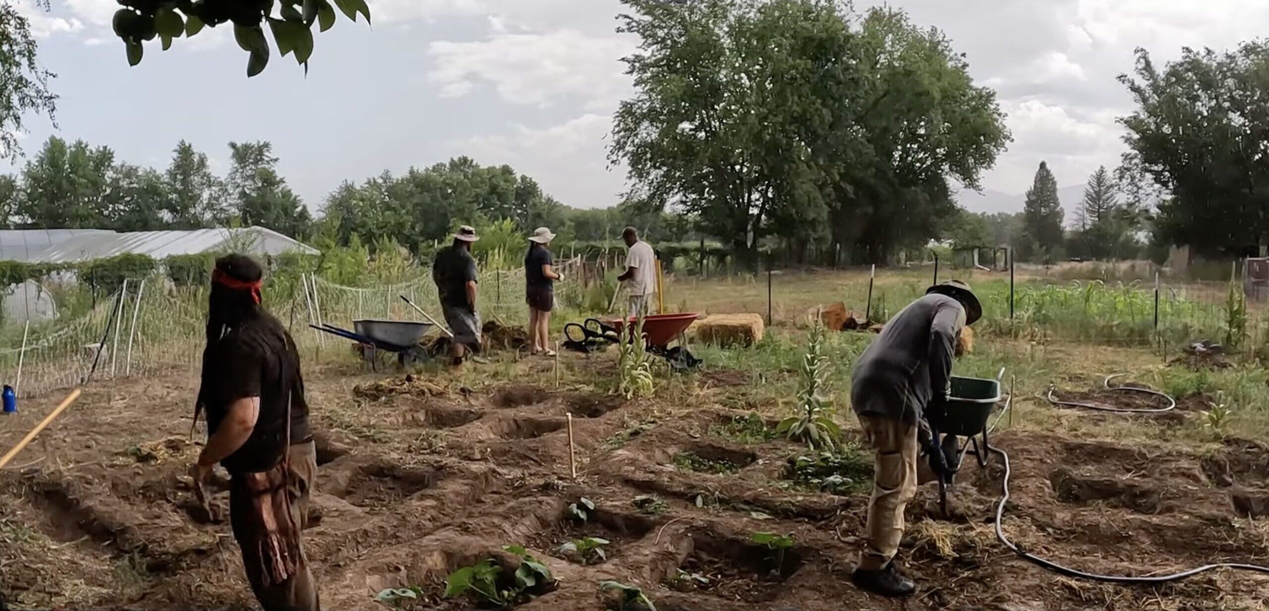 A traditional waffle garden, like this one in New Mexico, has grid-like sunken beds with earthen walls that capture rain, retain moisture and prevent runoff. Image by Geoffrey Kie.