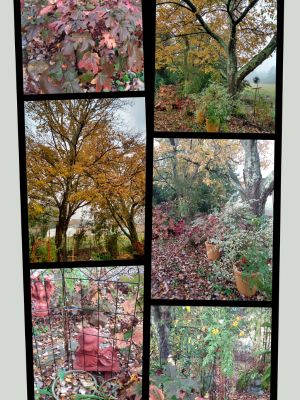 Winter Organized Garden