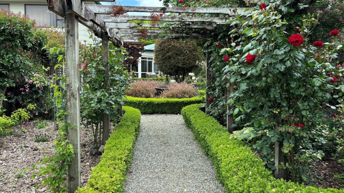 Low hedges and edging plants that work – Gareth Carter Low hedges and edging plants that work – Gareth Carter