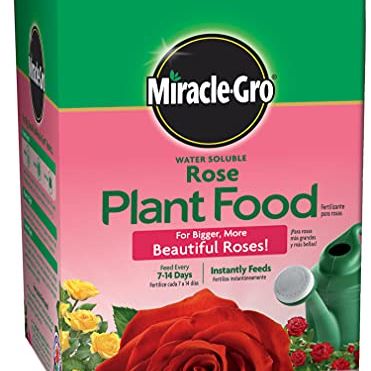 Miracle-Gro Water Soluble Rose Plant Food, 1.5 Lb
