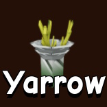 Yarrow seed GAG