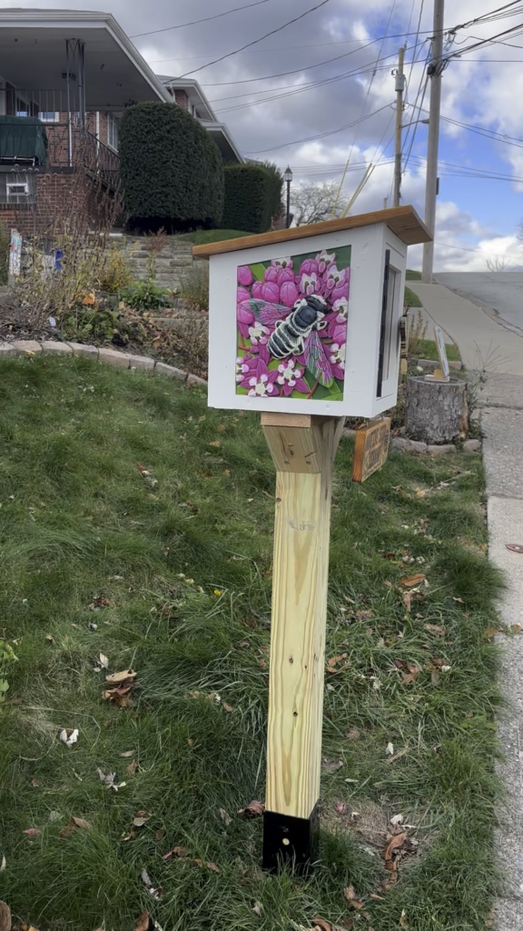 I built a Little Free Native Seed Library for the neighborhood