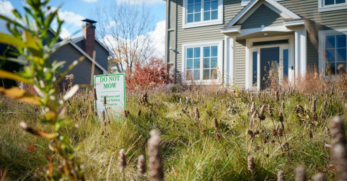 A lawsuit blooms in Plymouth, MN as homeowner battles HOA over her naturally planted yard