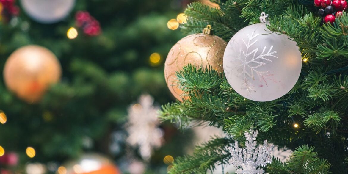 The Garden to host 2025 Holiday Market