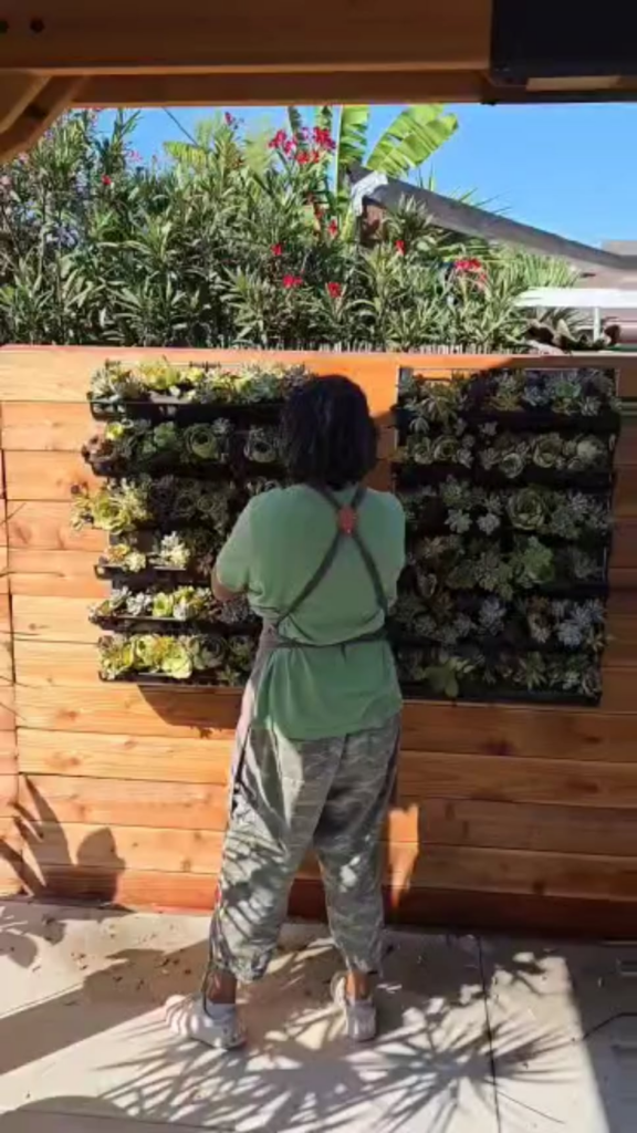 LIVING WALLS LIVING WALLS