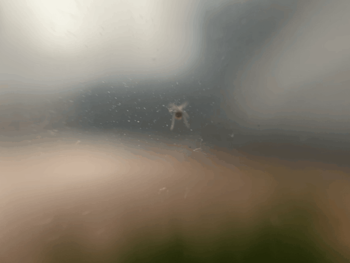 Who is this little guy?