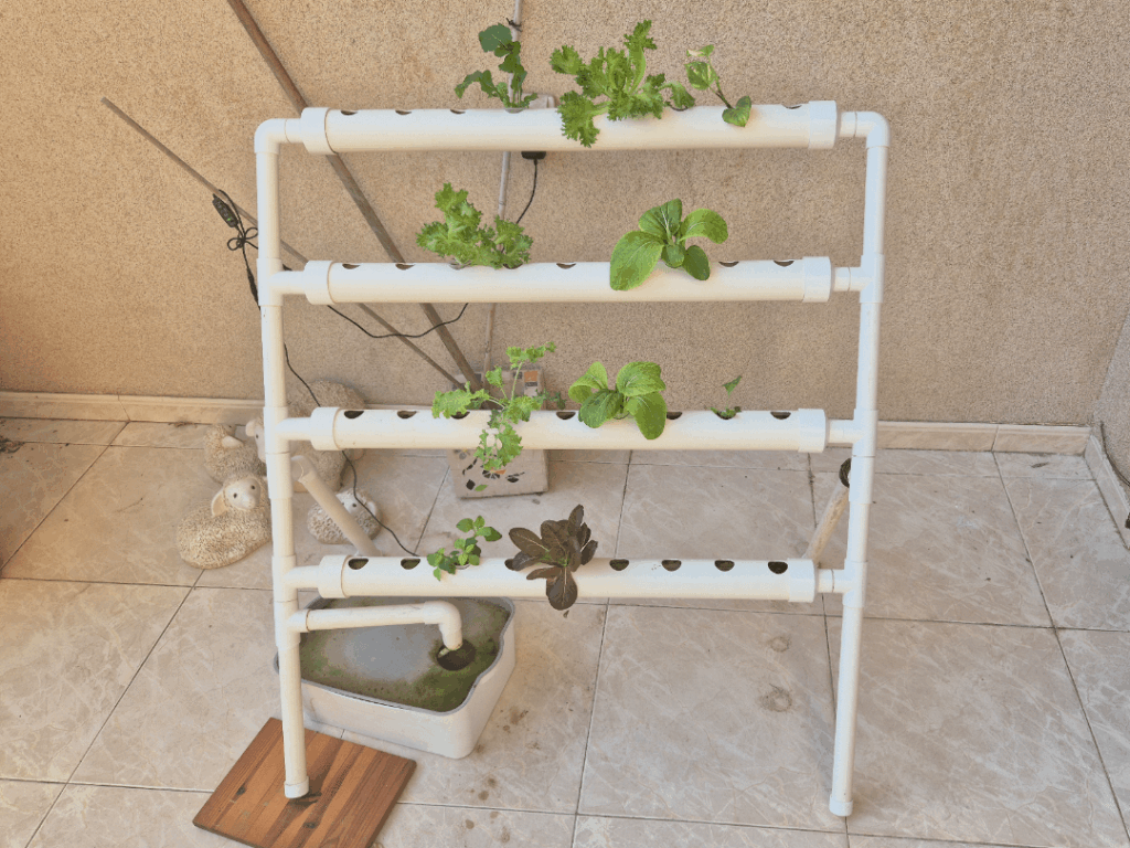 Begginer Looking for guidance Begginer Looking for guidance