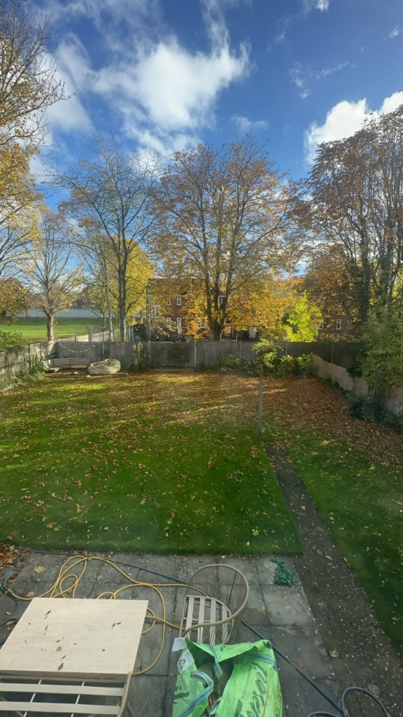 Leaves leaves leaves!! Autumn in UK is a frustrating time.