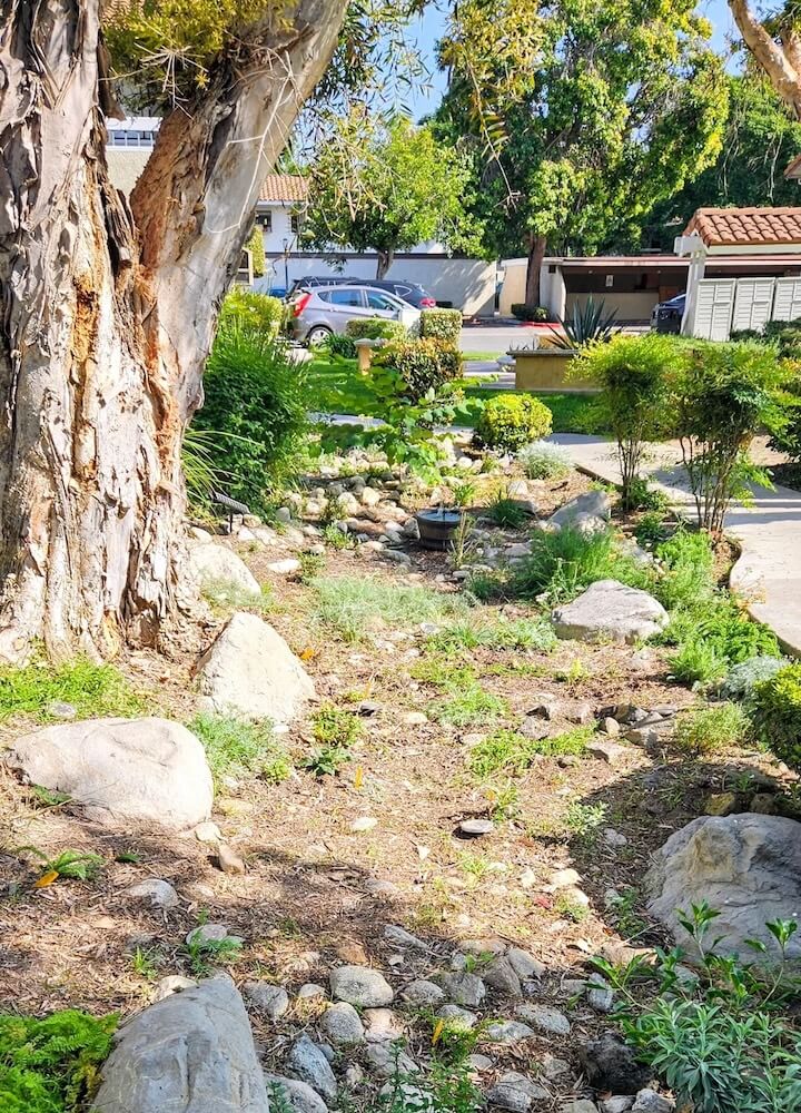 One Reddit user shared their journey in creating a native garden in their apartment complex, showing beautiful photos of the space.