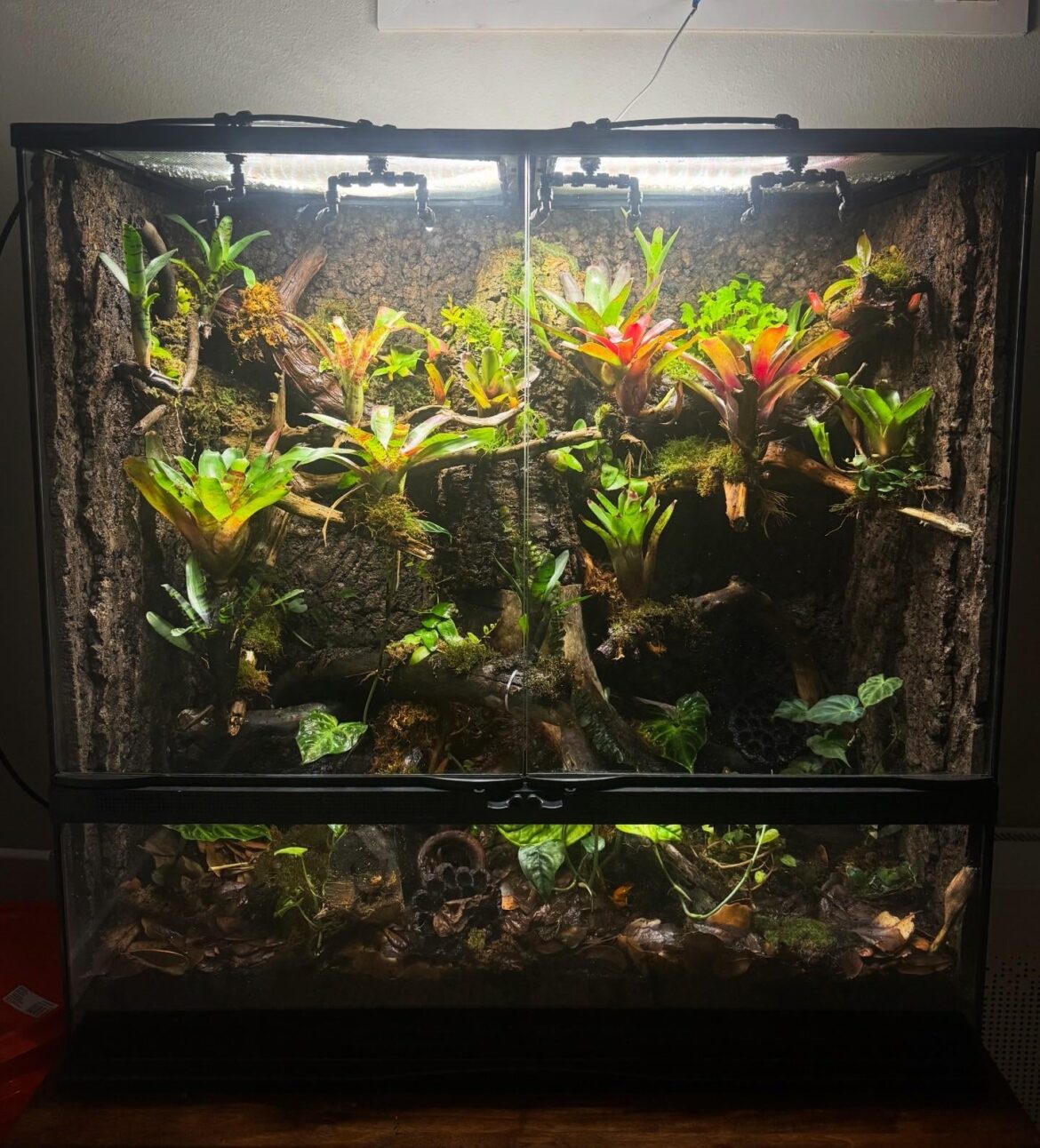 My new 36x18x36 propagation tank