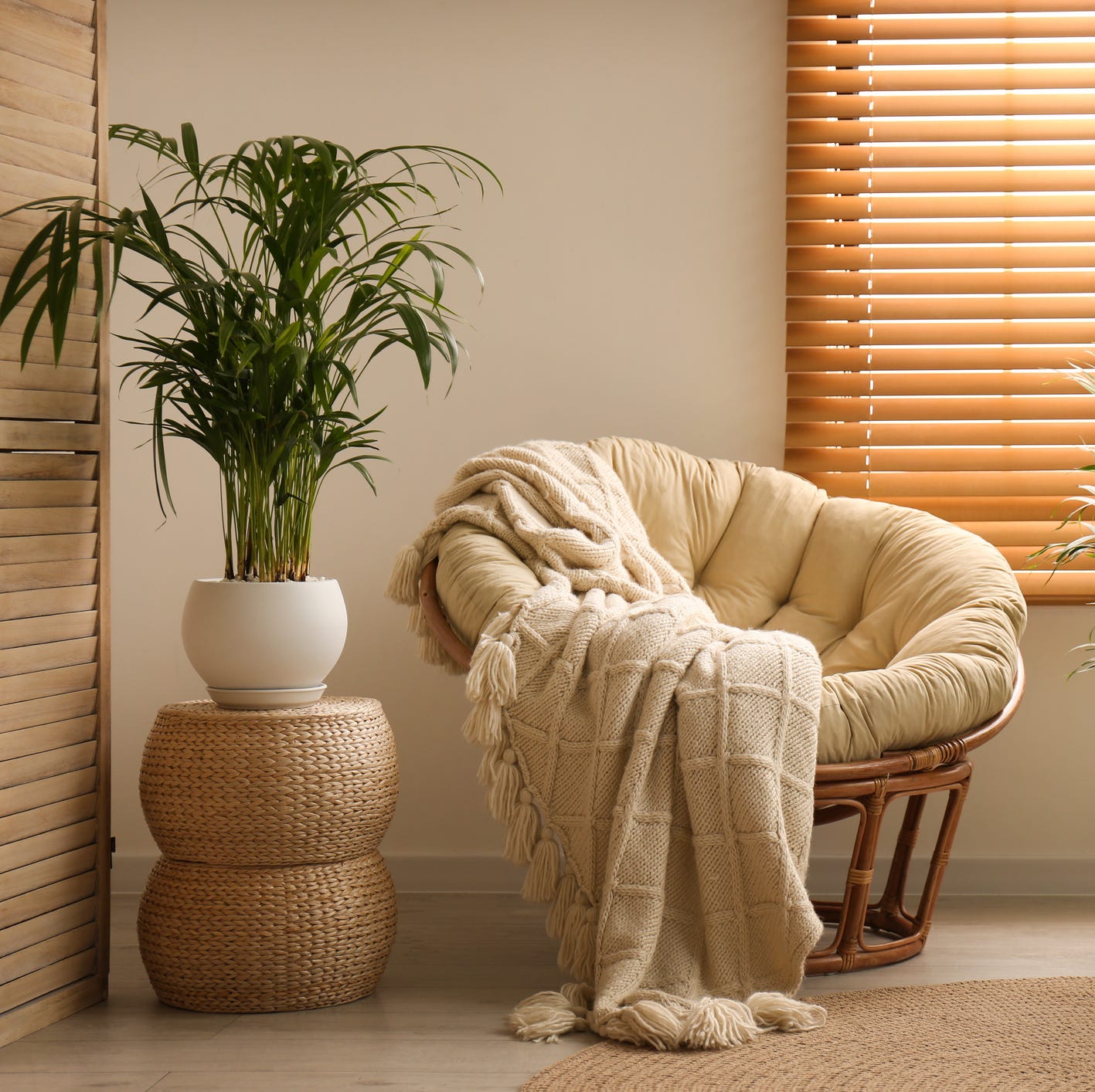 best plants for bedroom areca palm