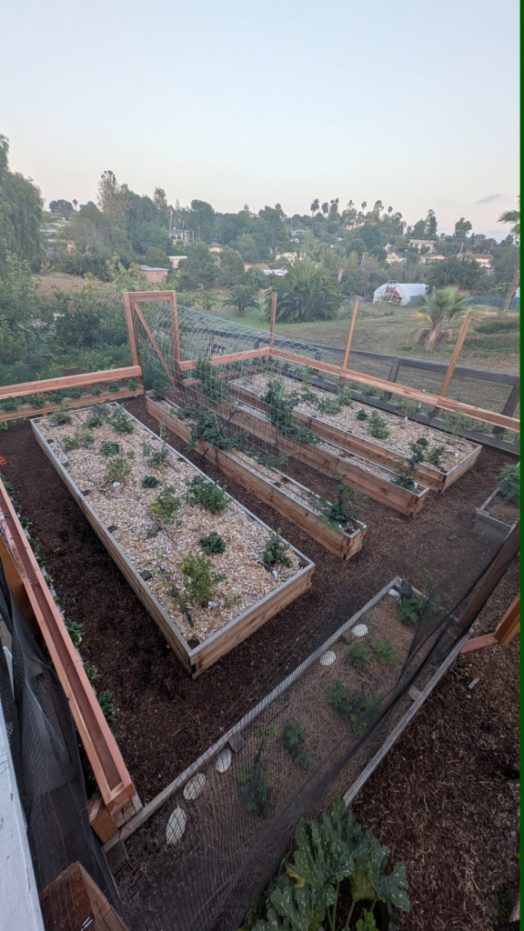 Some of you asked how we built the berry patch..