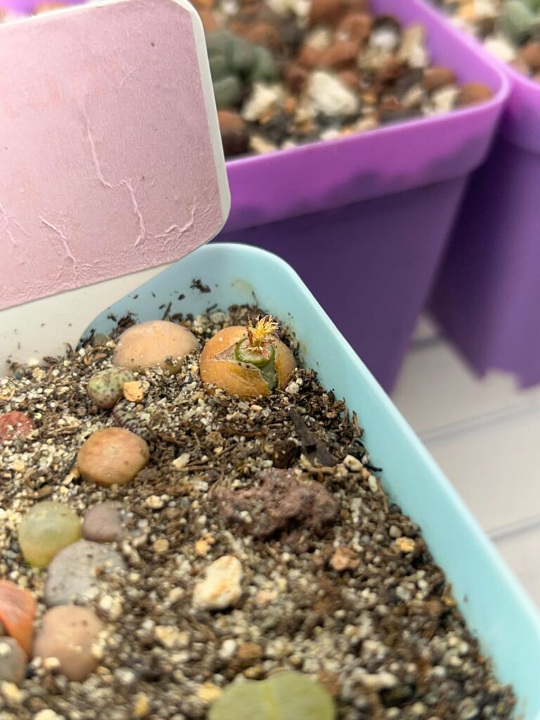 Surprise! You’re a single mother now!!!