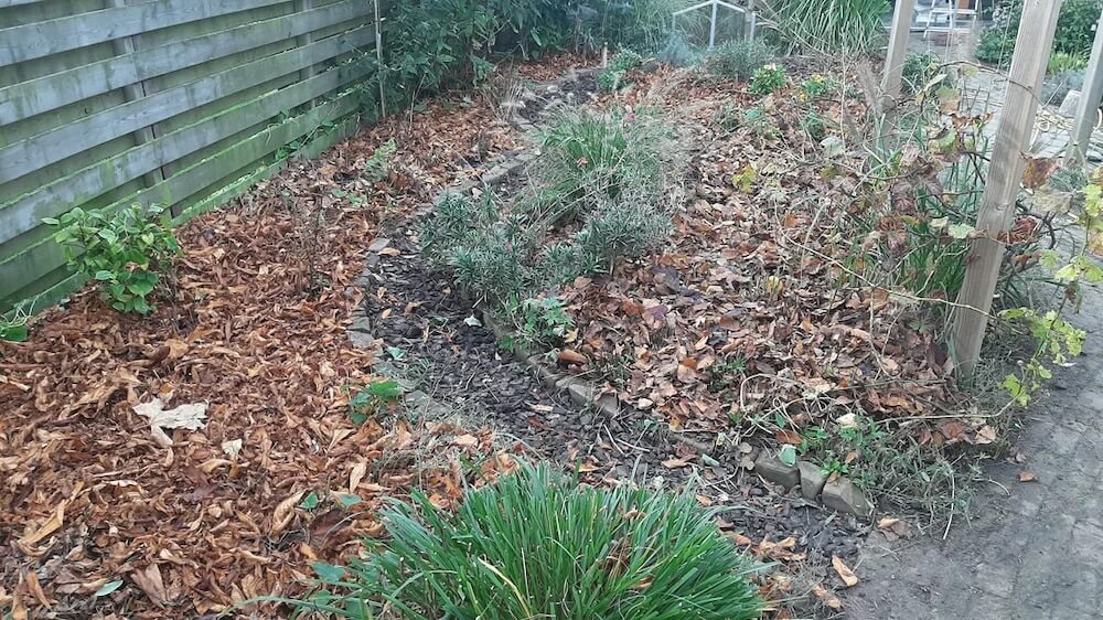 One gardener shared a very simple but incredibly effective way to suppress weeds with absolutely zero expense and little effort.