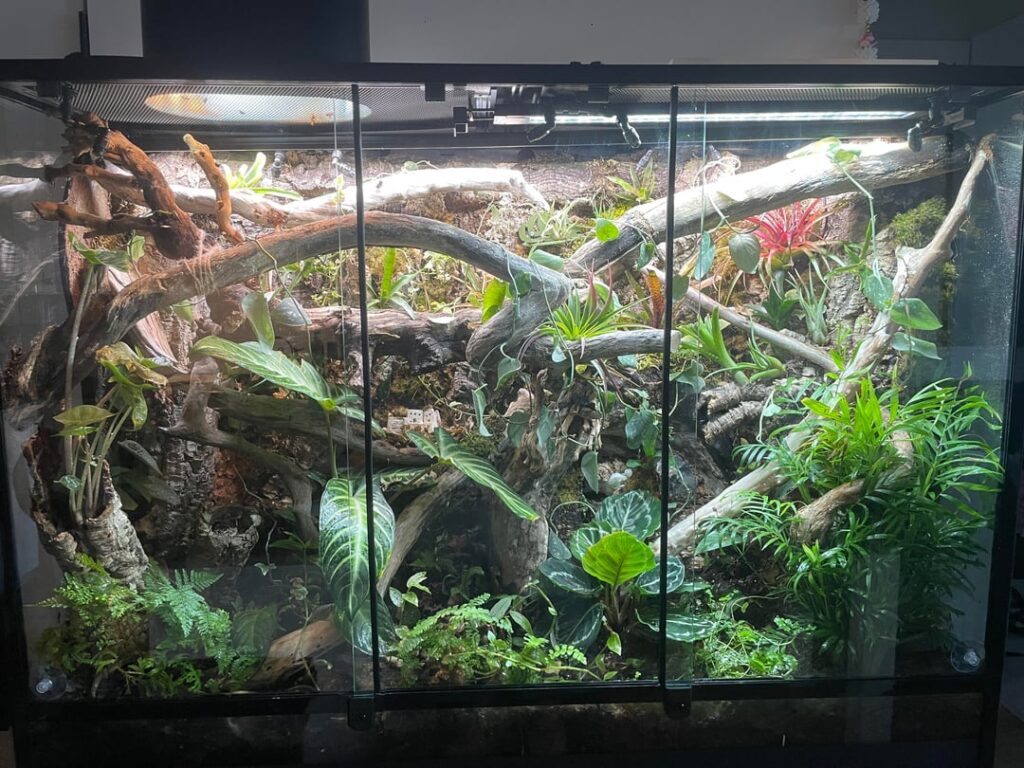 Is there any plants or moss I can put on these branches?