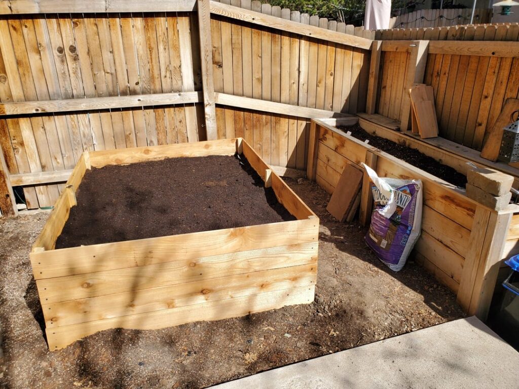 First go at backyard veggies