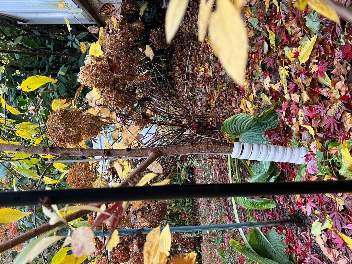 There’s still gardening to do