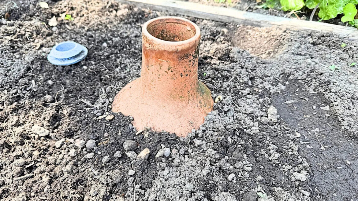This “hidden pot” is the silent irrigation hack your garden needs Yahoo creators home