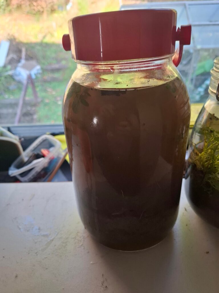 I have set up my second ecosphre waiting for it to clear im really getting into thos hobby its so intresting also first pic of life in the second jar i jave no clue what it is? Its weirdly cute though